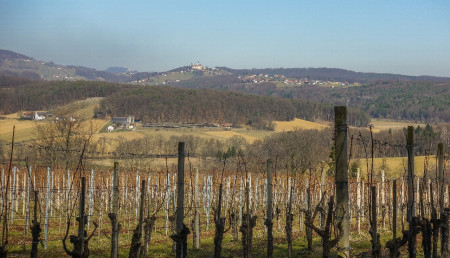 Blick hinüber nach St. Anna am Aigen